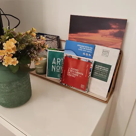 Casa Moliceiro Apartment Aveiro