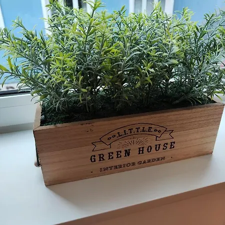 Casa Moliceiro Apartment *