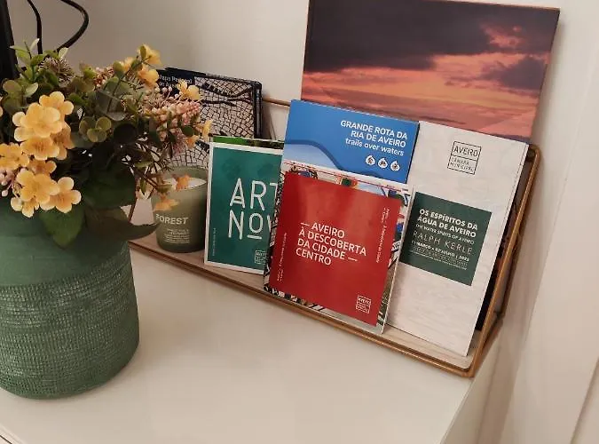 Casa Moliceiro Apartment Aveiro