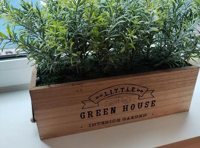 Casa Moliceiro Apartment *